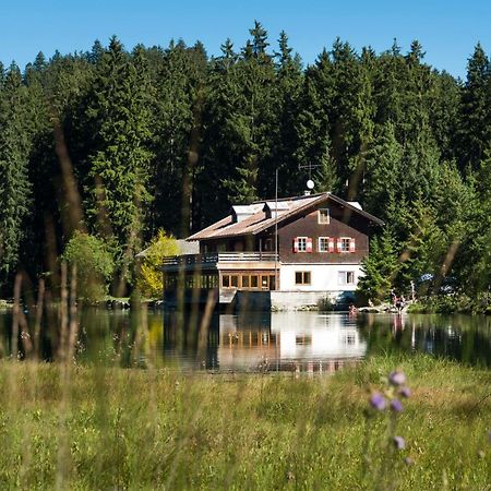 Appartamento Haus Schreieck Klaudia Höfen Esterno foto