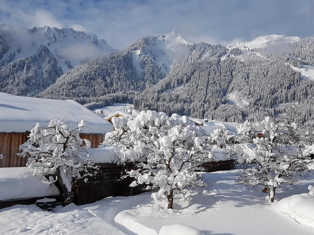 Appartamento Haus Schreieck Klaudia Höfen Esterno foto
