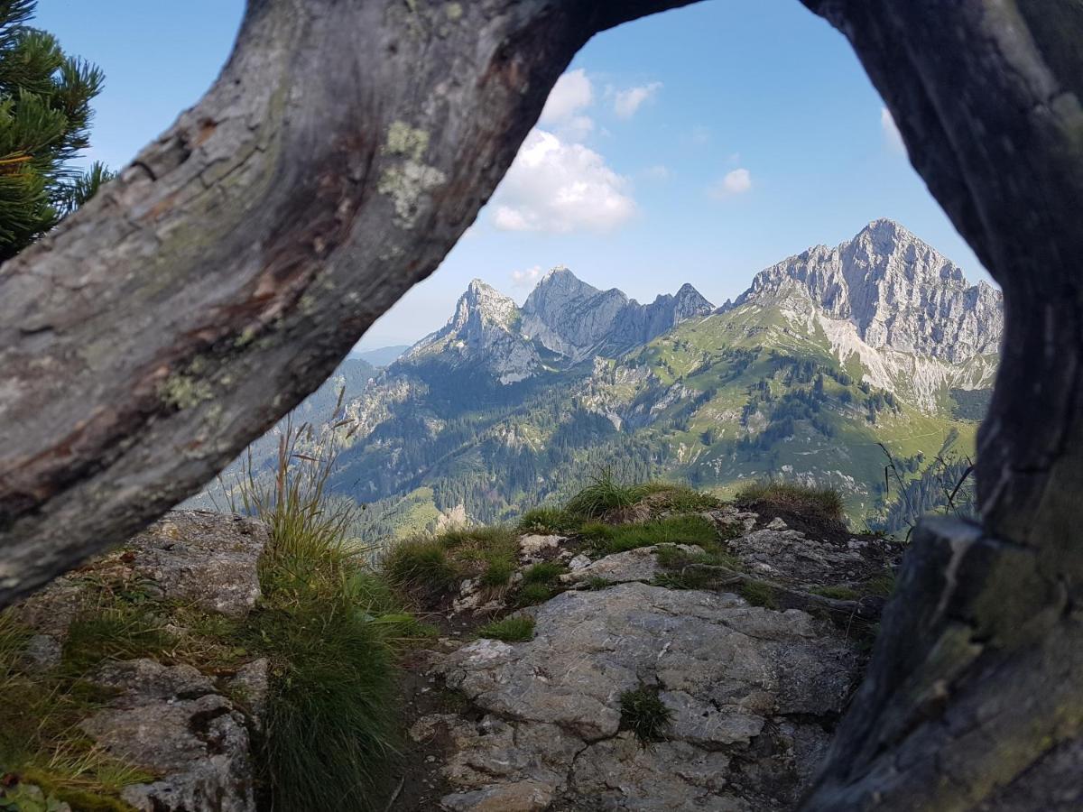Appartamento Haus Schreieck Klaudia Höfen Esterno foto