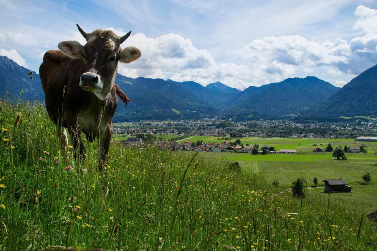 Appartamento Haus Schreieck Klaudia Höfen Esterno foto