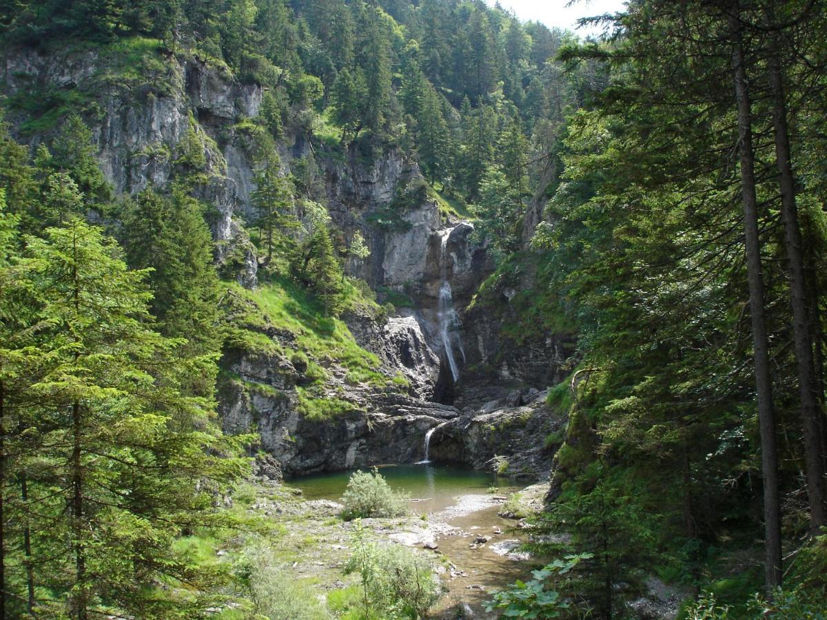 Appartamento Haus Schreieck Klaudia Höfen Esterno foto