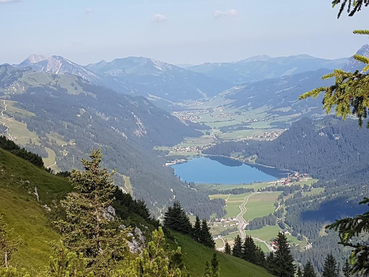 Appartamento Haus Schreieck Klaudia Höfen Esterno foto